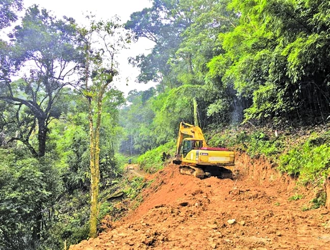 Con đường vào rừng đang được thi công mở rộng. Nếu xây dựng công trình, có thể toàn bộ dòng nước sẽ ô nhiễm.