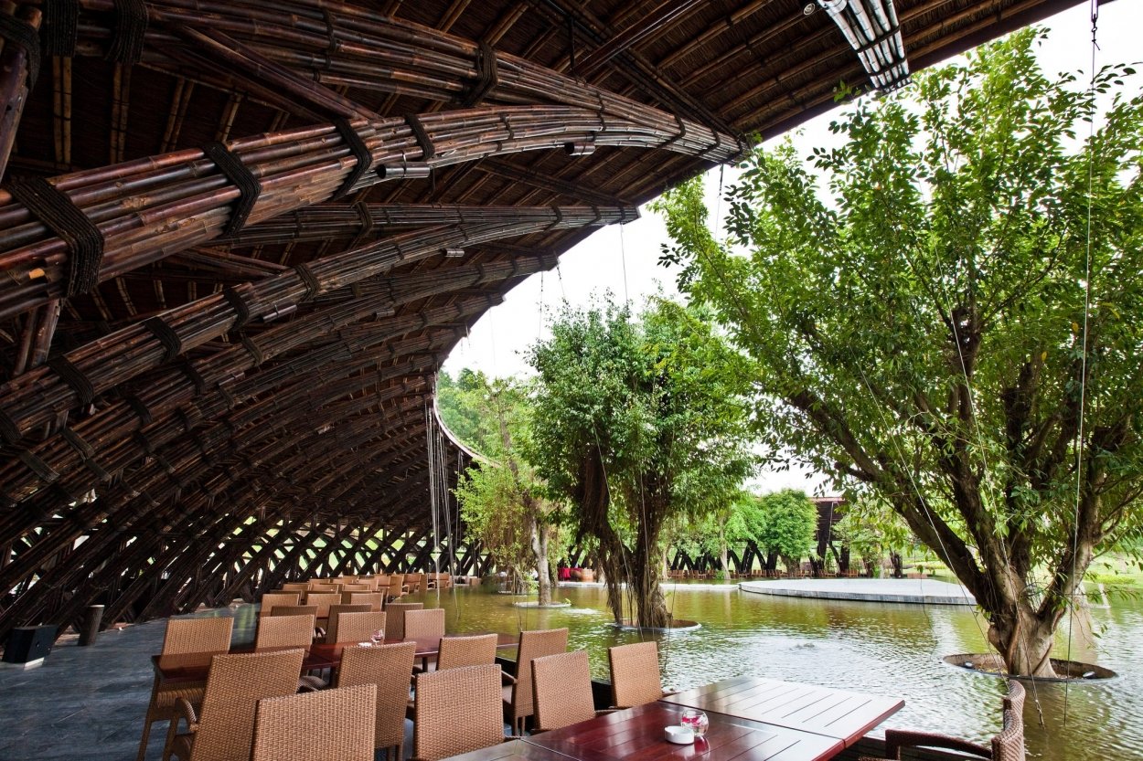 Cánh tre, một cấu trúc đúc hẫng trong quán cà phê và được thiết kế theo hình cánh chim, kết hợp thiên nhiên với không gian trong nhà.
