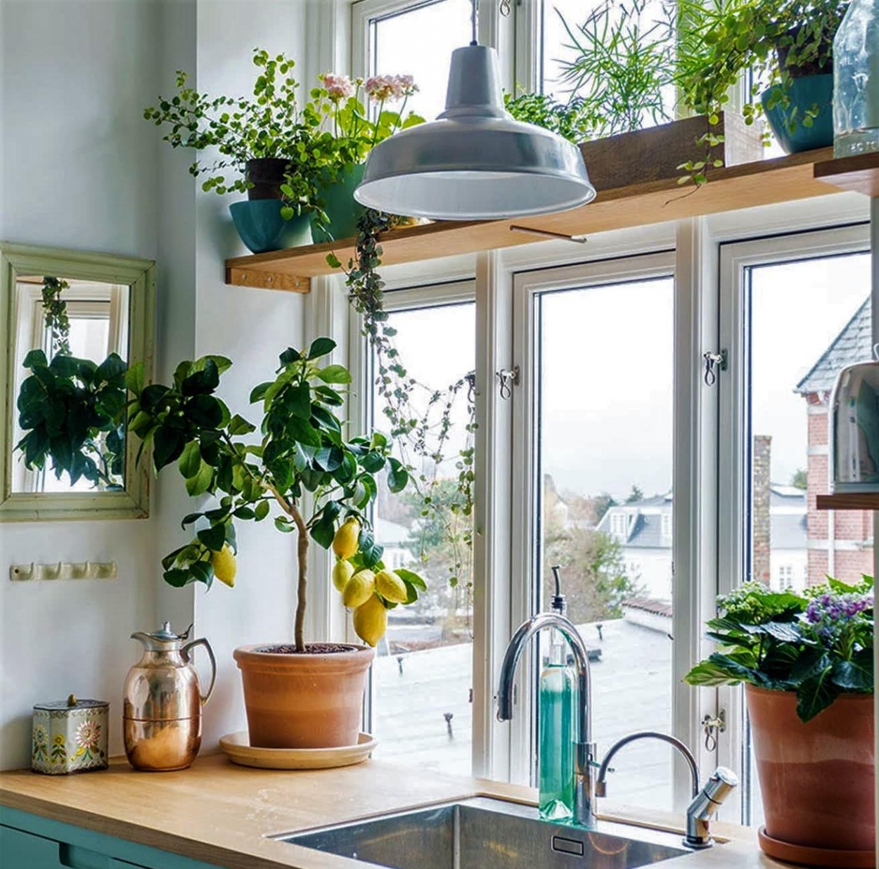 Trồng cây xanh trong nhà bếp là một cách khử mùi nhà bếp hiệu quả.