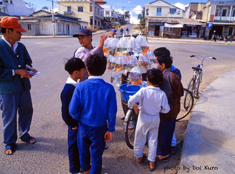 Trẻ em tụ tập quanh quầy bán cá vàng dạo.