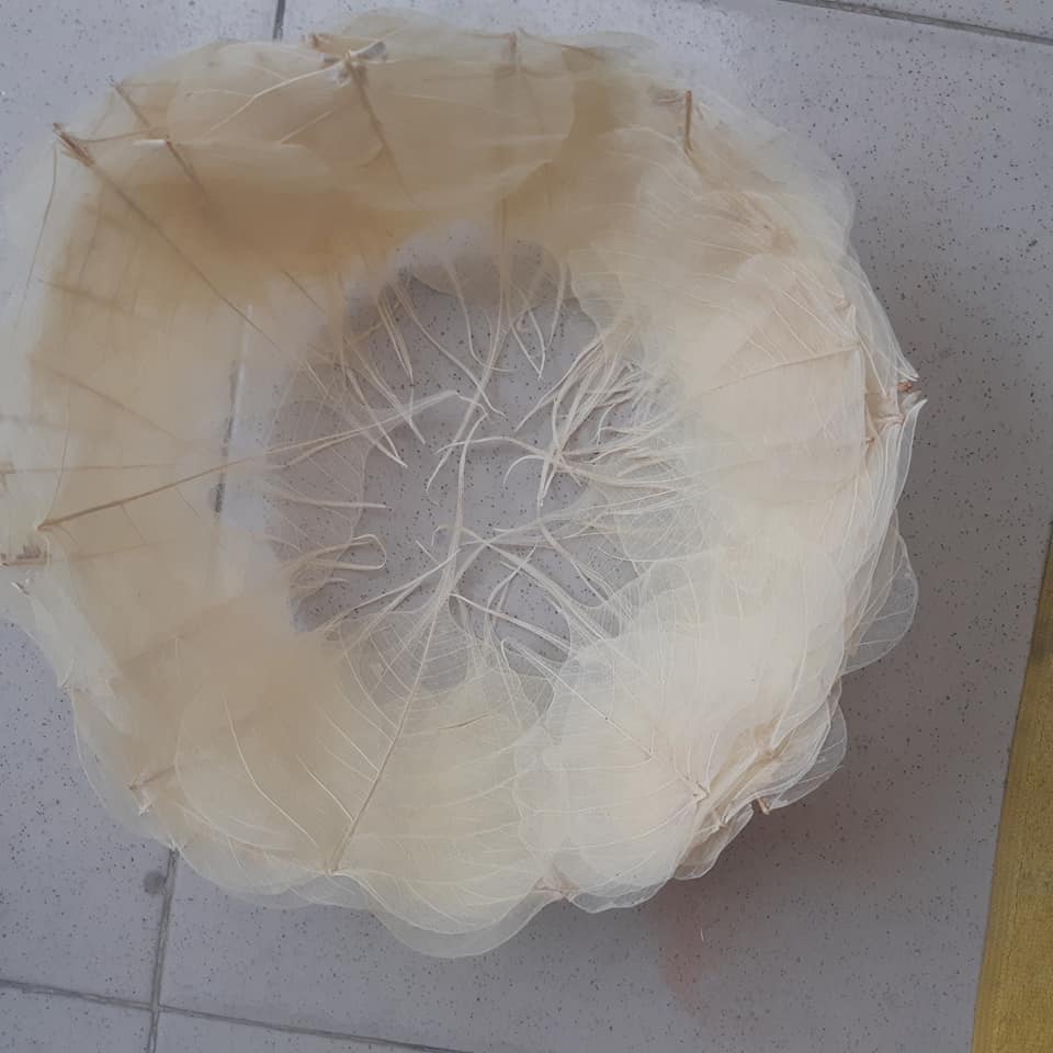 Xương Lá Bồ Đề khi khô có thể gắn kết dễ bằng keo nến. Ảnh: Nguyễn Thị Diệu Huỳnh