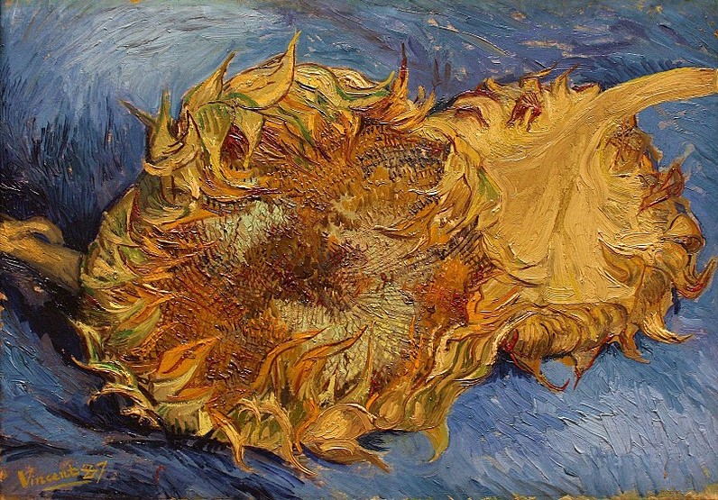 Hoa hướng dương trong loạt tranh ở Paris, bức tranh được vẽ bằng chất liệu sơn dầu trên canvas, kích thước 43.2 x 61 cm. Bức tranh hiện đang được trưng bày tại bảo tàng viện bảo tàng mỹ thuật Metropolitan, New York, Mỹ. (Ảnh: Wikipedia)