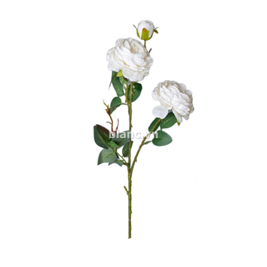 Cành Hoa Mẫu Đơn 63cm - Hoa Giả Trang Trí Bàn Làm Việc |HomeAZ.vn