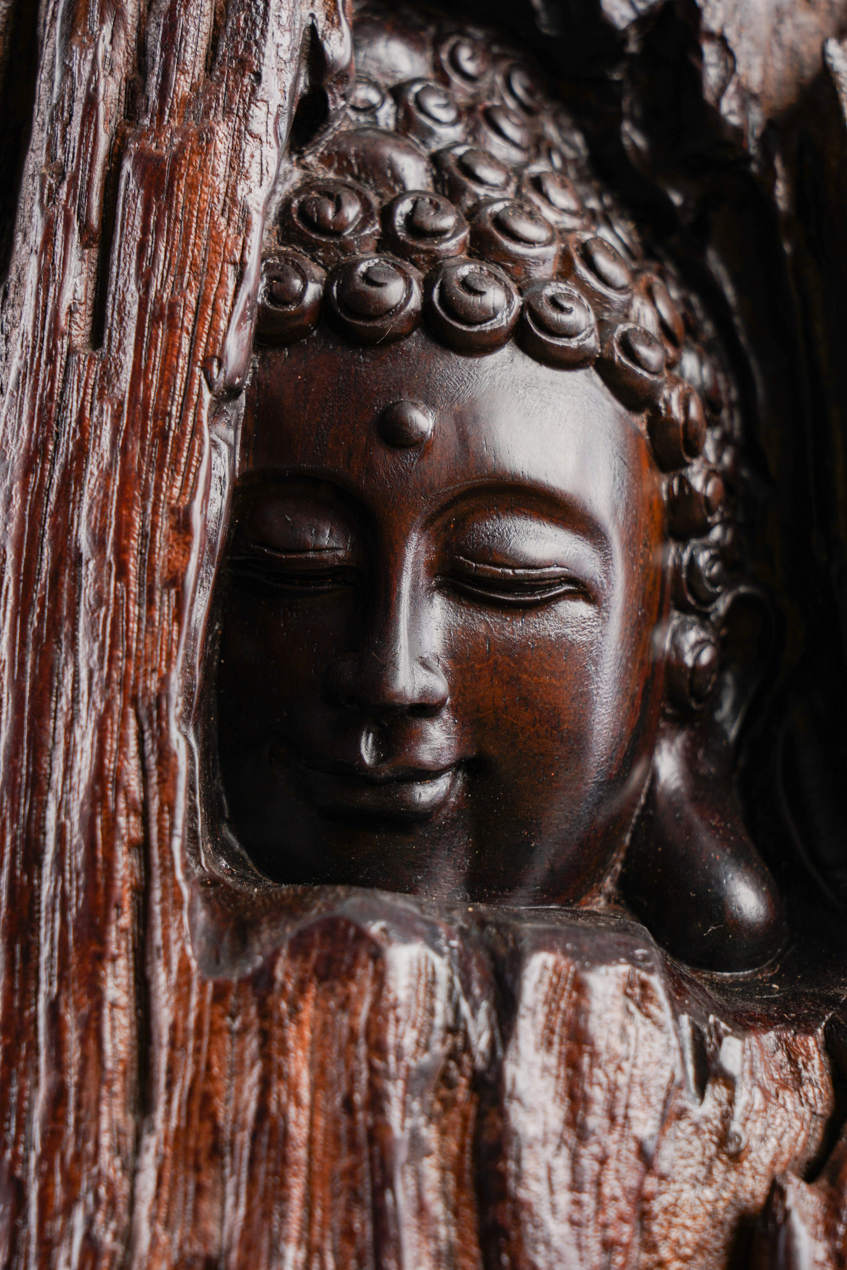 Diện Phật Thích Ca Gỗ Trắc Cao Cấp | HomeAZ.vn