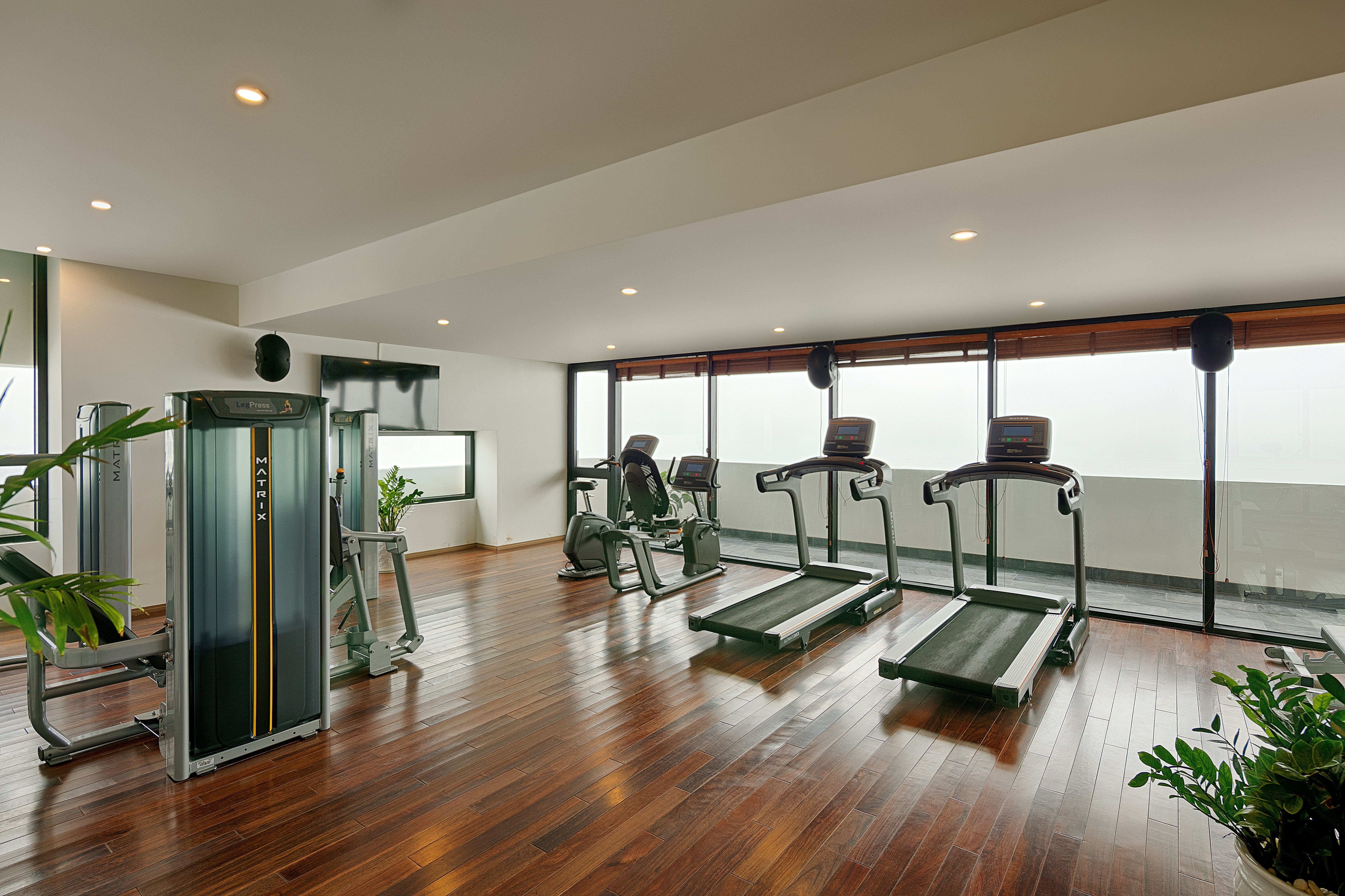 GYM
