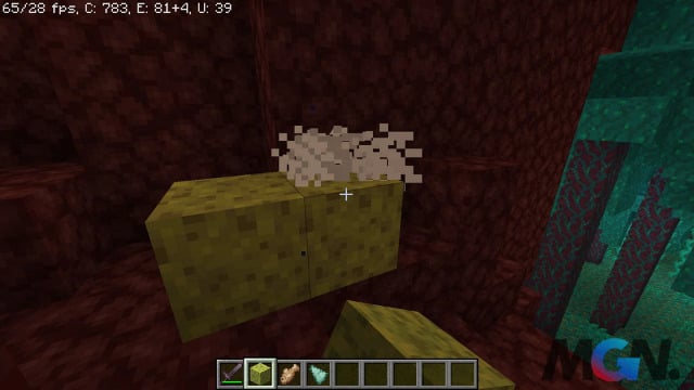 Minecraft Cách tìm Bọt Biển trong phiên bản 1.18-4
