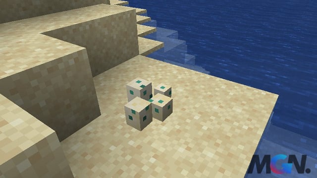Minecraft Hướng dẫn nuôi Rùa cực kỳ chi tiết_2