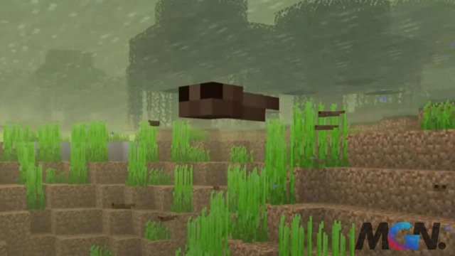 Tadpole
