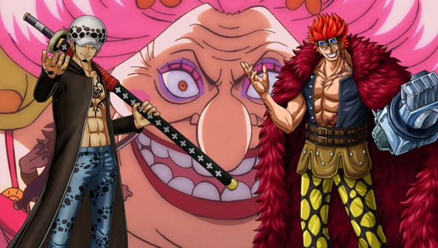 bigmom vs law và kid