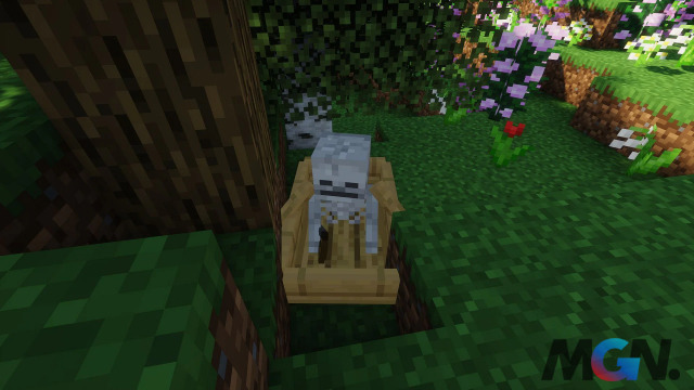 Mob Skeleton trong Minecraft