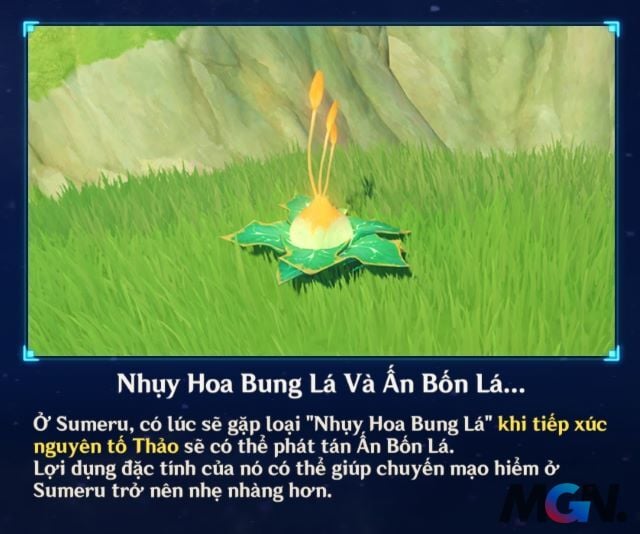 Nhụy Hoa Bung Lá và Ấn Bốn Lá