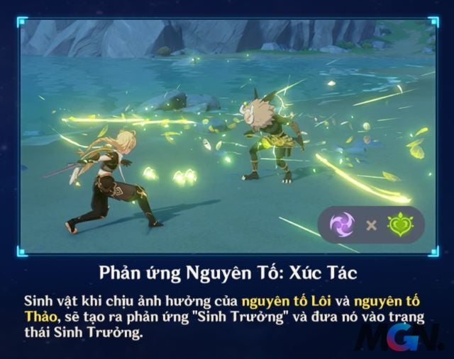 Phản ứng Xúc Tác