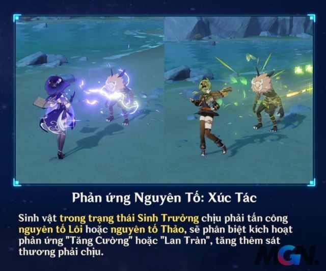 Phản ứng Tăng Cường và Lan Tràn