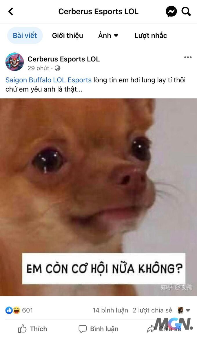 300532121_455567026493646_5165177317615556520_n