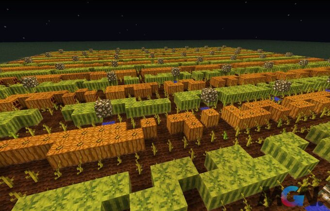 melon-growth