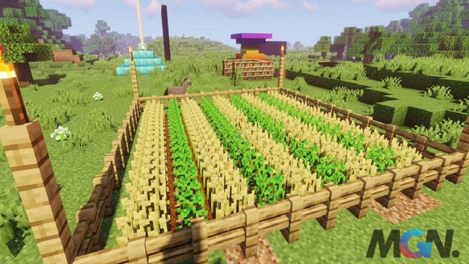 minecraft-top-5-trang-trai-de-xay-dung-nhat-phien-ban-118-095119