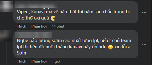 Bình luận của CĐM