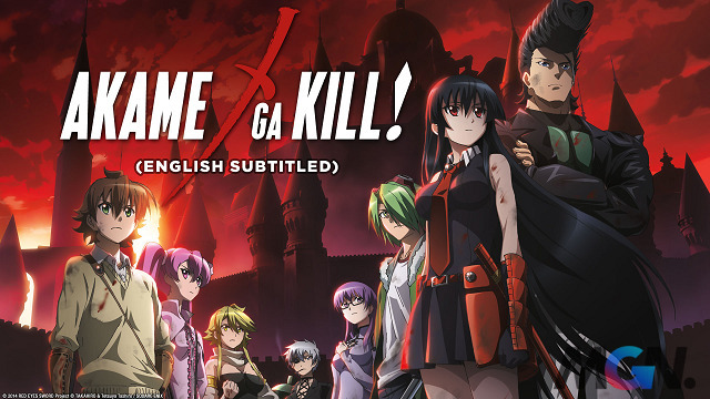 Dù là anime hơi hướng bạo lực nhưng Akame Ga Kill lại sở hữu dàn nhân vật nữ cực kỳ xinh đẹp