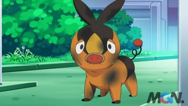 Pokemon (1)