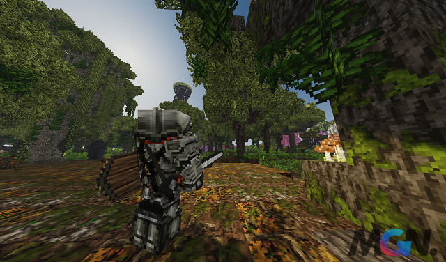 Medieval Minecraft