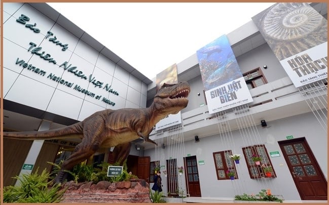 Lịch mở cửa, giá vé vào thăm Bảo tàng Thiên nhiên Việt Nam