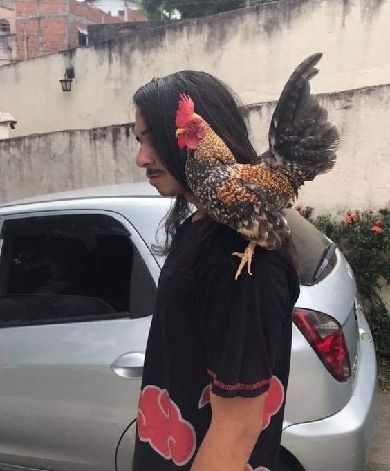 Thành viên nào của tổ chức Akatsuki mà kè kè con gà bên cạnh thế này nhỉ?