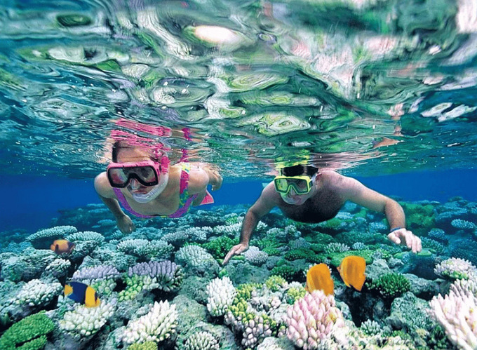 Bạn cũng có thể ngắm san hô bằng bộ dụng cụ snorkel (kính lặn, ống thở). Khi ngắm san hô kiểu này thì bạn phải có khả năng bơi lội tốt mới có thể dễ dàng di chuyển trong quá trình quan sát. Ảnh sưu tầm