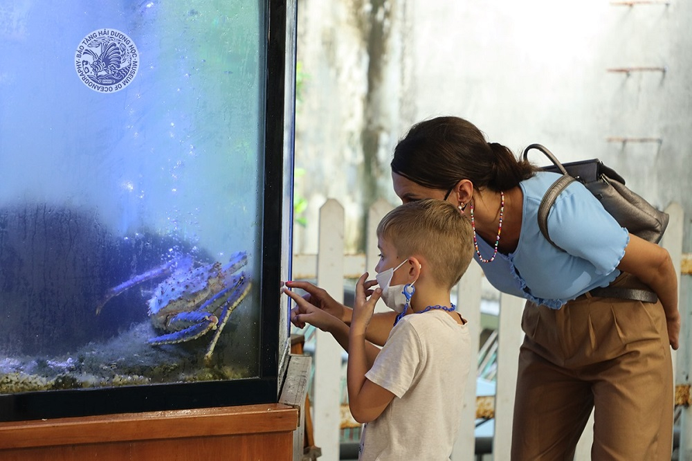 Khi đến với Bảo tàng Hải dương học, có nhiều người không chỉ ngắm nhìn hay là chụp hình lưu niệm mà còn đưa con nhỏ đến để tham quan, để dạy cho các cháu những bài học sinh động từ đại dương mênh mông. Ảnh sưu tầm