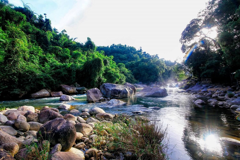 Suối Tiên