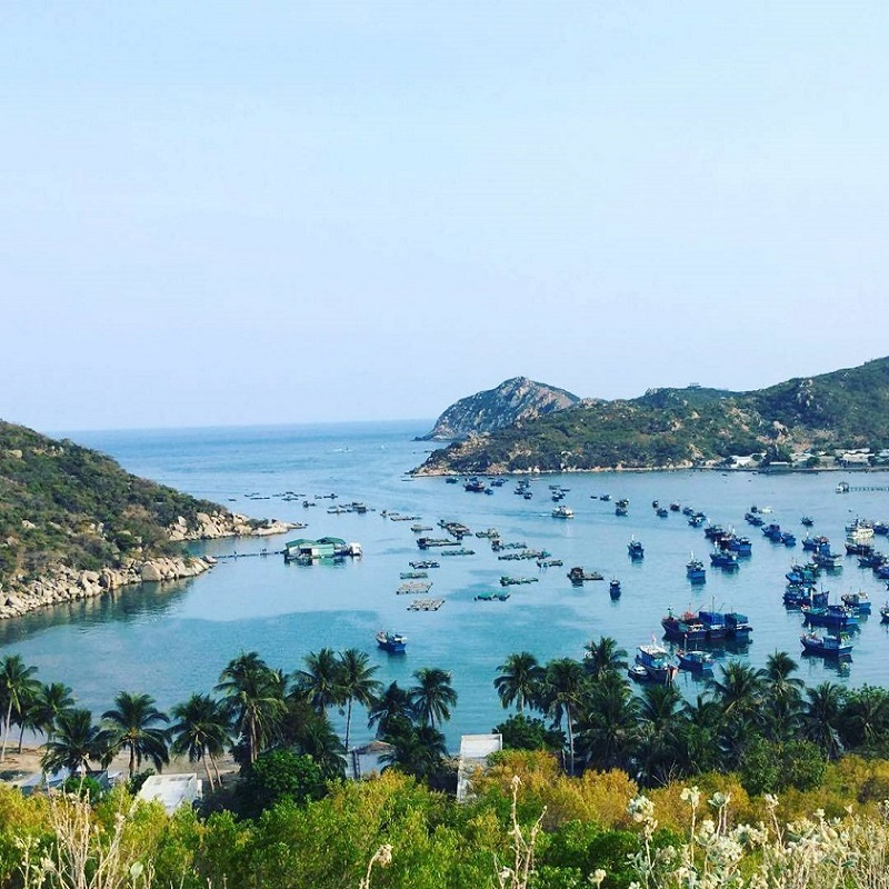 Chỉ cách thành phố Nha Trang khoảng 70km về hướng Bắc, cách TP. Phan Rang - Tháp Chàm khoảng 30km về phía Nam, bãi biển Bình Tiên là địa điểm được du khách ghé đến nhiều. Ảnh sưu tầm