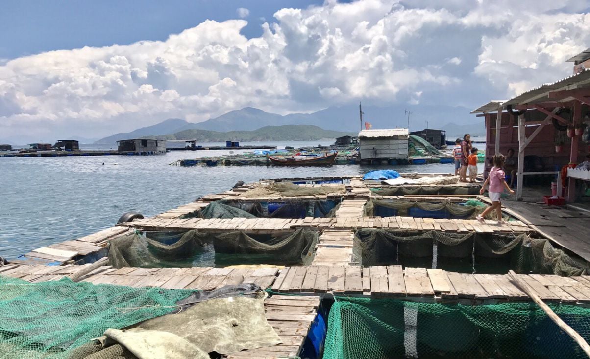 Bạn có thể ghé thăm những nhà hàng bè ở vịnh Nha Trang bằng cách đặt tour ở các khách sạn hoặc đơn vị lữ hành. Ảnh sưu tầm
