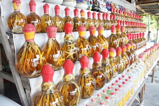 Với công dụng thần kỳ chữa được nhiều căn bệnh thì cá ngựa khô được xem như một phương thuốc quý đến từ đại dương. Ảnh sưu tầm