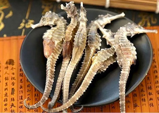 Không những là món ăn với hương vị thơm ngon mà cá ngựa khô còn ẩn chứa nhiều điều thú vị đang chờ đợi bạn khám phá. Ảnh sưu tầm
