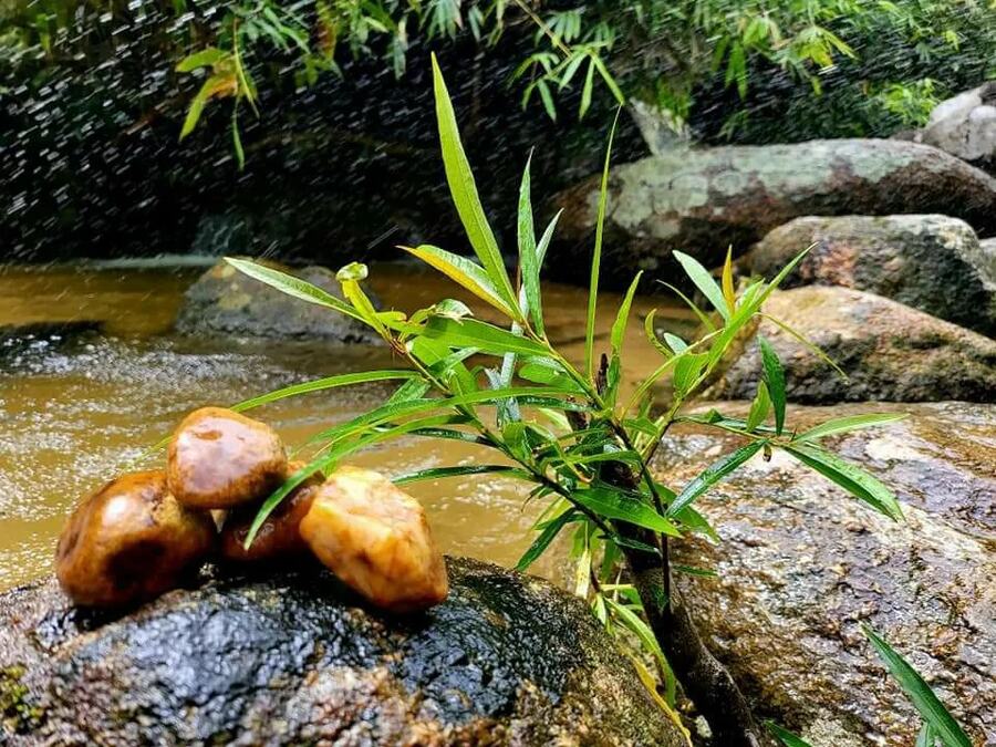 Vẻ đẹp của Làng Nhỏ (Hồ Láng Nhớt) hiện lên thật thanh bình. Ảnh: Minh Châu Lê