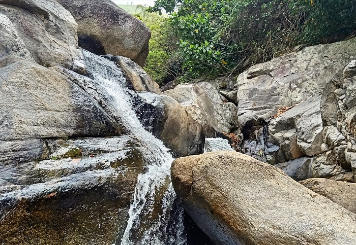 Đến hiện tại, khu du lịch Mà Giá vẫn còn rất hoang sơ. Càng đi sâu vào bên trong thì cảnh trí thiên nhiên lại càng hùng vĩ. Có nhiều loại cây rừng lạ như là tre, nứa, mây ré, cọ, mác,.. cùng với đủ loại đá giăng, trải dọc vô cùng tự nhiên, đúng nghĩa đó là quà tặng của thiên nhiên cho con người. Ảnh sưu tầm