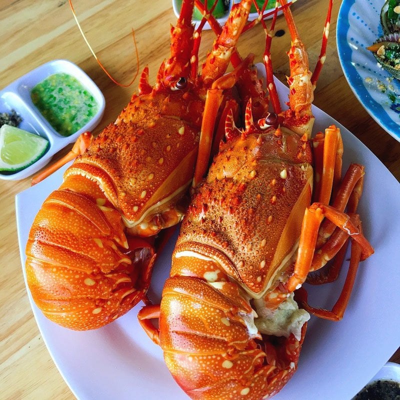 Tôm hùm bông thường được gọi là tôm hùm sao - đây là một trong những đặc sản biển Tuyệt Hảo không thể nào bro qua của vùng biển Nha Trang, Bình Thuận, Ninh Thuận,... nước ta. Ảnh minh họa
