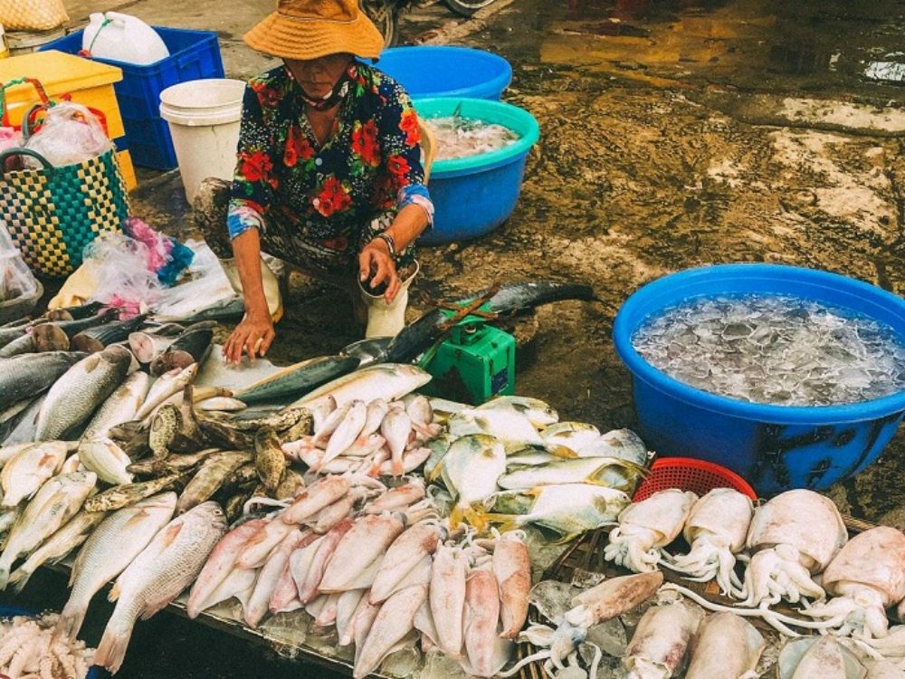 Cảng cá Vĩnh Tường là một trong những địa chỉ mua hải sản tươi sống Nha Trang mà du khách không nên bỏ qua