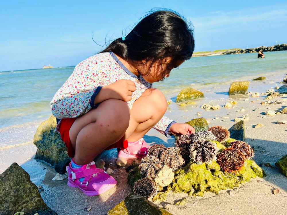 Khi gia đình biết tin, hai bà cháu đã đến tận Nha Trang