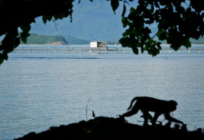 Cách TP Nha Trang 18km, đảo Khỉ Hòn Lao nằm giữa đầm Nha Phu có sóng biếc mênh mông (Ảnh: Tiến Thành)
