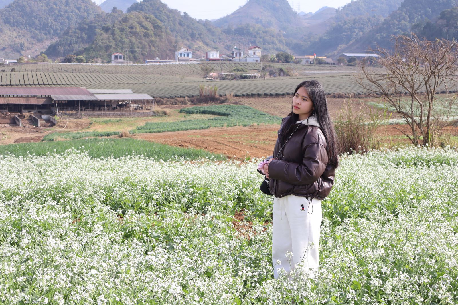 hoa Xuân Sơn La 9