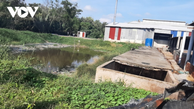Ao chứa nước thải từ cơ sở sơ chế vỏ ghẹ Thuận Kiều thường xuyên bốc ra mùi hôi nồng nặc.