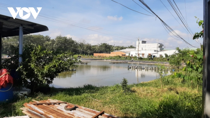 Một số ao nuôi tôm phải