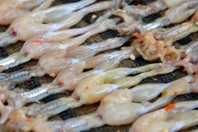Khô nhái rất giàu chất dinh dưỡng