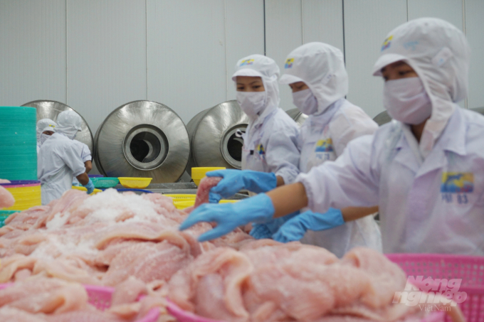 Chế biến cá tra xuất khẩu ở Công ty Cổ phần Hùng Vương (Tiền Giang). Ảnh: Sơn Trang.