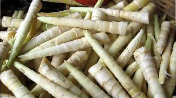 Măng le làm sạch, sau đó phơi khô