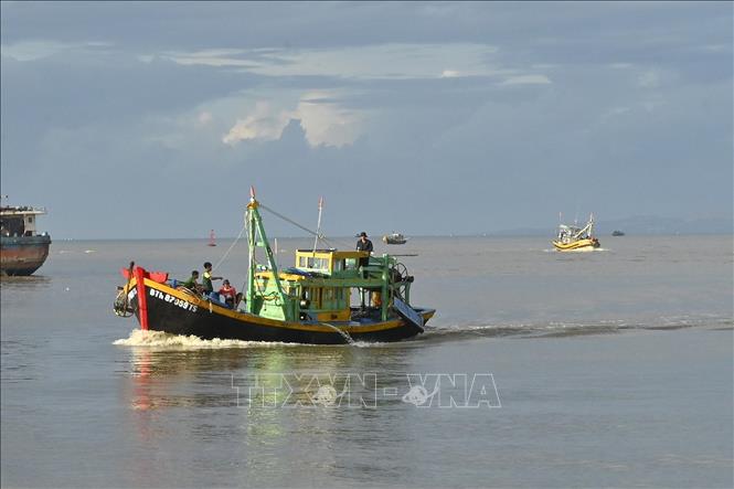 Tàu đánh bắt hải sản về Cảng cá Phan Thiết. Ảnh minh họa: Nguyễn Thanh/TTXVN