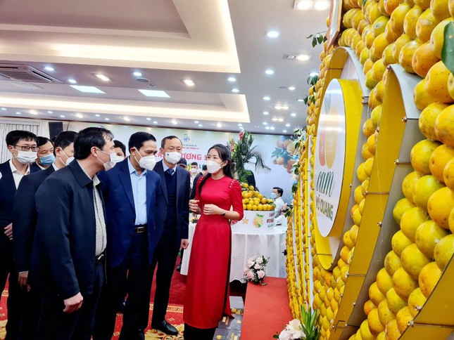Lãnh đạo tỉnh Hà Tĩnh tham quan các gian hàng trưng bày cam tại hội nghị.