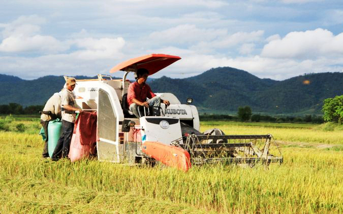 Thu hoạch lúa trên vùng nguyên liệu liên kết sản xuất với Tập đoàn Lộc Trời, tỉnh An Giang.