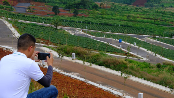 Dự án bất động sản không phép Country Dream 2 (xã Lộc Tân, huyện Bảo Lâm, tỉnh Lâm Đồng) được làm trên nền một đồi chè - Ảnh: GIA THỊNH