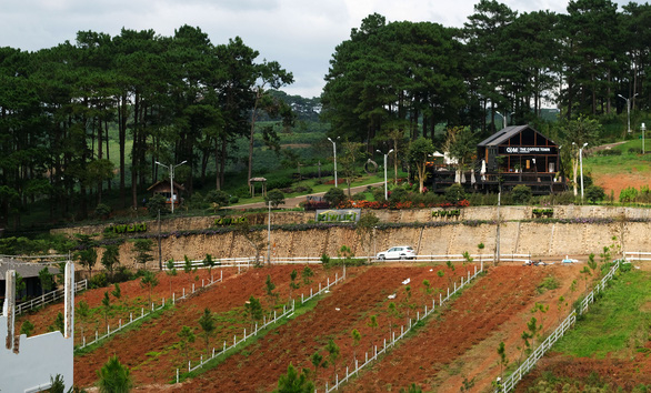 Dự án Kiwuki (xã Lộc Tân, huyện Bảo Lâm, tỉnh Lâm Đồng) từng bị cơ quan chức năng điểm danh vào nhóm “dự án ma” nằm sát rừng, khu đất gần đường đang phân thành từng lô nhỏ - Ảnh: GIA THỊNH